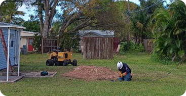 Stump Grinding & Removal